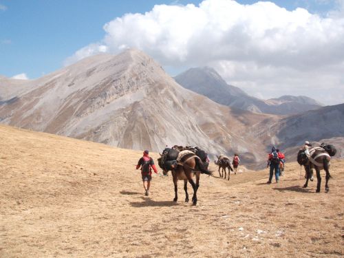 trekking con i muli-140.JPG